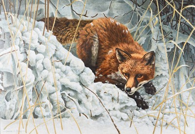 Lot 634 - Adrian Rigby (b.1962) Fox in the Snow
