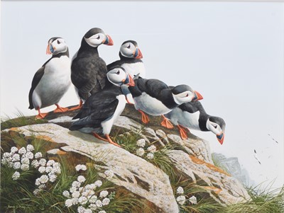 Lot 255 - Adrian Rigby (b.1962) A Colony of Puffins on a Rocky Outcrop