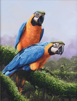 Lot 603 - Adrian Rigby (b.1962) Blue and Gold Macaws, Friends for Life