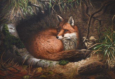 Lot 119 - Adrian Rigby (b.1962) A Fox in a Hollow