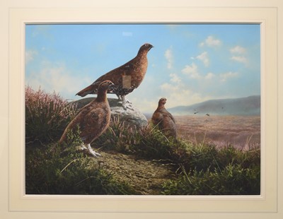 Lot 31 - Adrian Rigby (b.1962) Red Grouse, Pride of the Moor
