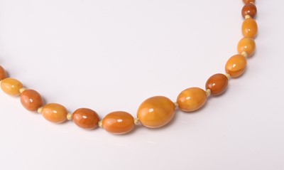 Lot 230 - A graduated amber bead necklace