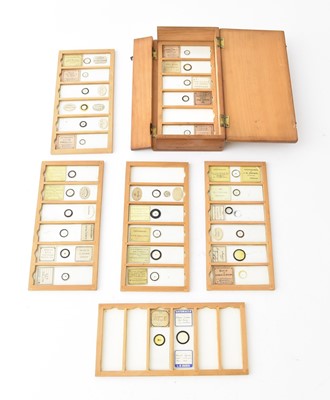 Lot 526 - A collection of novelty microscope slides, 19th/20th century