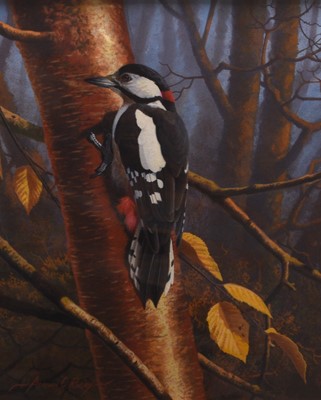 Lot 48 - Adrian Rigby (b.1962) Great Spotted Woodpecker