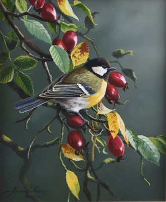 Lot Adrian Rigby (b.1962) Great Tit on Rose Hips