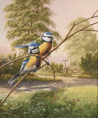 Lot 129 - Adrian Rigby (b.1962) Blue Tits at the Crossing