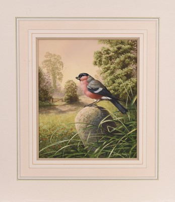 Lot 124 - Adrian Rigby (b.1962) Bullfinch on the Milestone