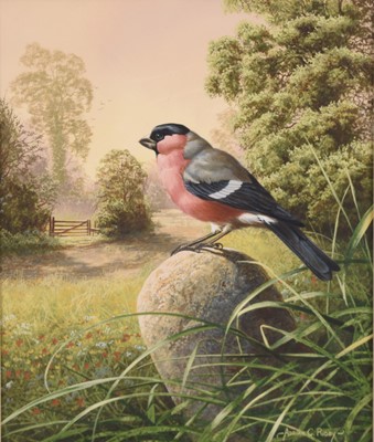 Lot Adrian Rigby (b.1962) Bullfinch on the Milestone