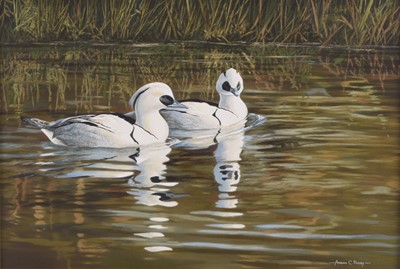 Lot 126 - Adrian Rigby (b.1962) Smew Ducks