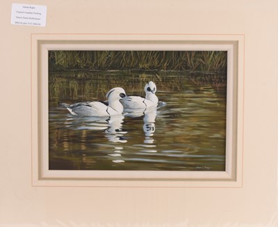 Lot 126 - Adrian Rigby (b.1962) Smew Ducks