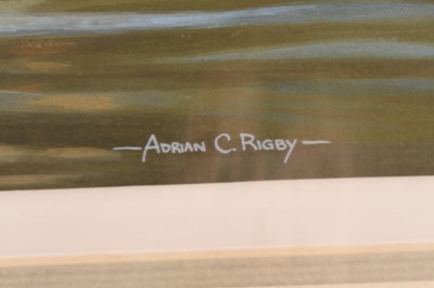Lot 126 - Adrian Rigby (b.1962) Smew Ducks