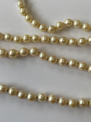 Lot 217 - A single strand graduated cultured pearl necklace