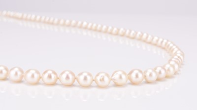 Lot 243 - A single strand uniform cultured pearl necklace