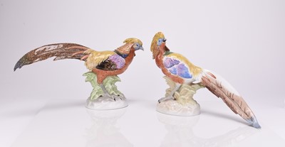 Lot 157 - A pair of Dresden models of Golden Pheasants