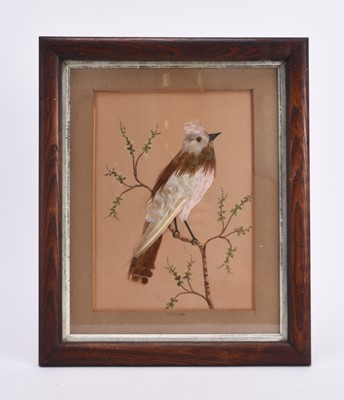 Lot 47 - A Pair of 19th Century ornithological collages of birds