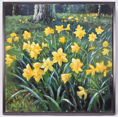 Lot 138 - James David Preston (b.1946) Daffodils in the Woodlands