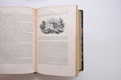 Lot 43 - HALL, Mr & Mrs SC, Ireland; Its Scenery, Character, etc. 3 vols 1841-43 (3)