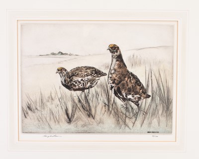 Lot 15 - Henry Wilkinson (1921-2011) Two Etchings of Partridges and The Partridge Shoot