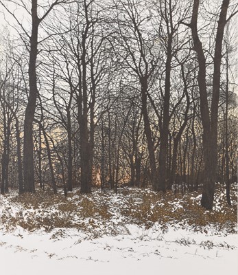 Lot 103 - Phil Greenwood (b.1943) Three Forest Prints
