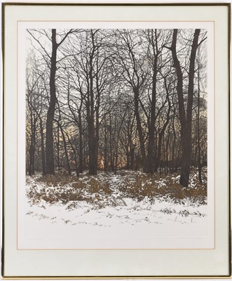Lot 103 - Phil Greenwood (b.1943) Three Forest Prints