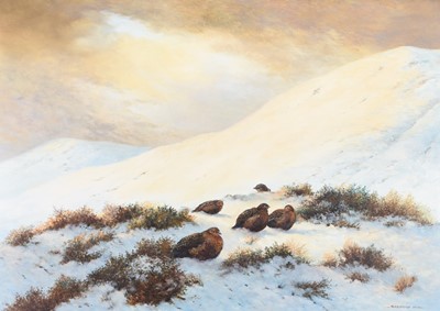 Lot 29 - Berrisford Hill (20th Century) Grouse in the Snow