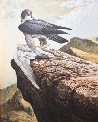 Lot 38 - Gareth Parry (b.1951) Peregrine Falcon with Prey and another