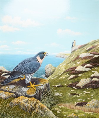 Lot 33 - Steven Jaremko (20th Century) A Pair of Peregrine Falcons in a Coastal Landscape