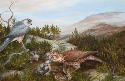 Lot 42 - Elizabeth Halstead (20th Century) Moorland Landscape with a Merlin Pair feeding their chicks