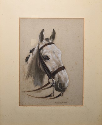 Lot 91 - Lucy Marguerite Frobisher (1890-1974) Portrait of a Bridled Grey Hunter