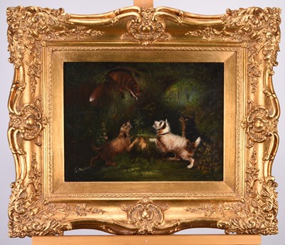 Lot 4 - Attributed to George Armfield (1808-1893) Three Terriers Chasing a Fox