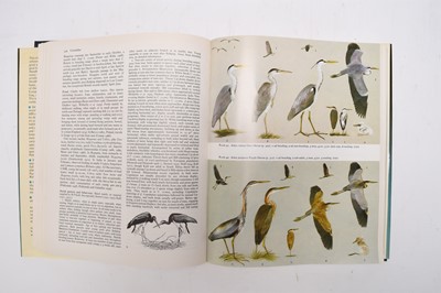 Lot 45 - HANDBOOK OF THE BIRDS OF EUROPE, the Middle East and North Africa. The Birds of the Western Palearctic