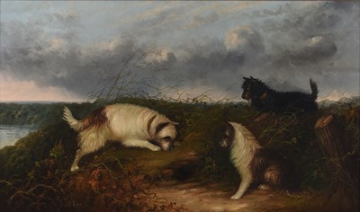 Lot 6 - J Langlois (c.1855-1904) A Large Oil of Terriers at a Rabbit Hole