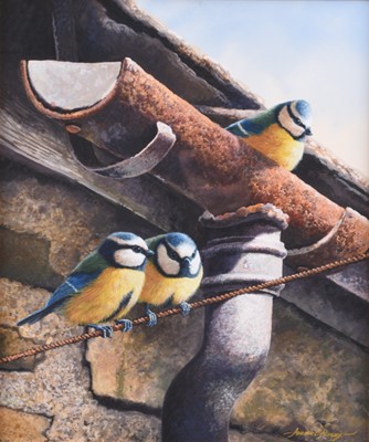 Lot 606 - Adrian Rigby (b.1962) Blue Tits in the Barn