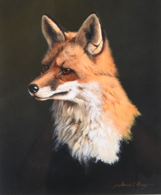 Lot 87 - Adrian Rigby (b.1962) Portrait of a Fox