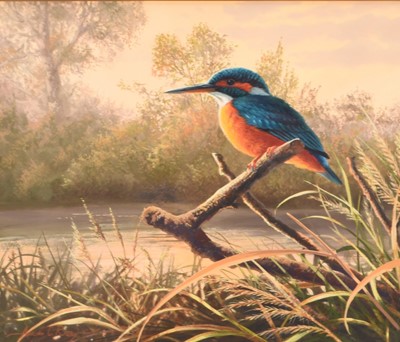 Lot 52 - Adrian Rigby (b.1962) Kingfisher, Jewel of the Riverbank