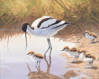 Lot 59 - Adrian Rigby (b.1962) Avocets