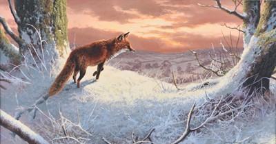 Lot Adrian Rigby (b.1962) A Fox in a Snow Covered Landscape