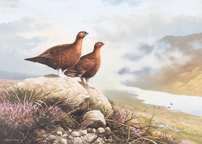 Lot 30 - Adrian Rigby (b.1962) Magnificent Grouse