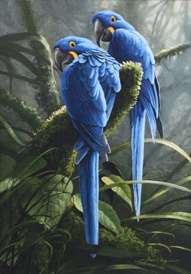 Lot 596 - Adrian Rigby (b.1962) Hyacinth Macaws, Jungle Blues