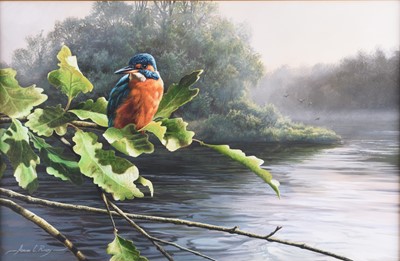 Lot 604 - Adrian Rigby (b.1962) Kingfisher, Morning Mist