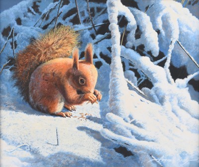 Lot 608 - Adrian Rigby (b.1962) Red Squirrel in the Snow