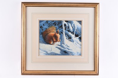 Lot 608 - Adrian Rigby (b.1962) Red Squirrel in the Snow