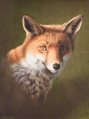 Lot 99 - Adrian Rigby (b.1962) The Ever Watchful Fox