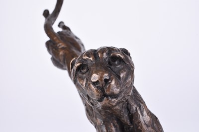 Lot 347 - After Tanya Russell, a bronze figure of a running cheetah