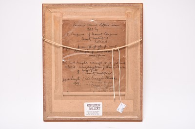 Lot 175 - Two Botanical Watercolour Studies (c.1823) from Mount Congreve