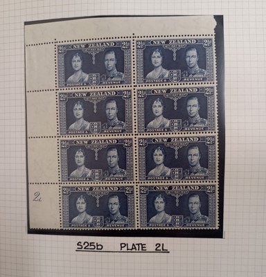 Lot 345 - New Zealand, an amazing collection housed in 6 albums and 2 boxes