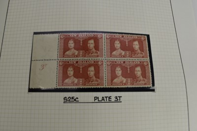 Lot 345 - New Zealand, an amazing collection housed in 6 albums and 2 boxes