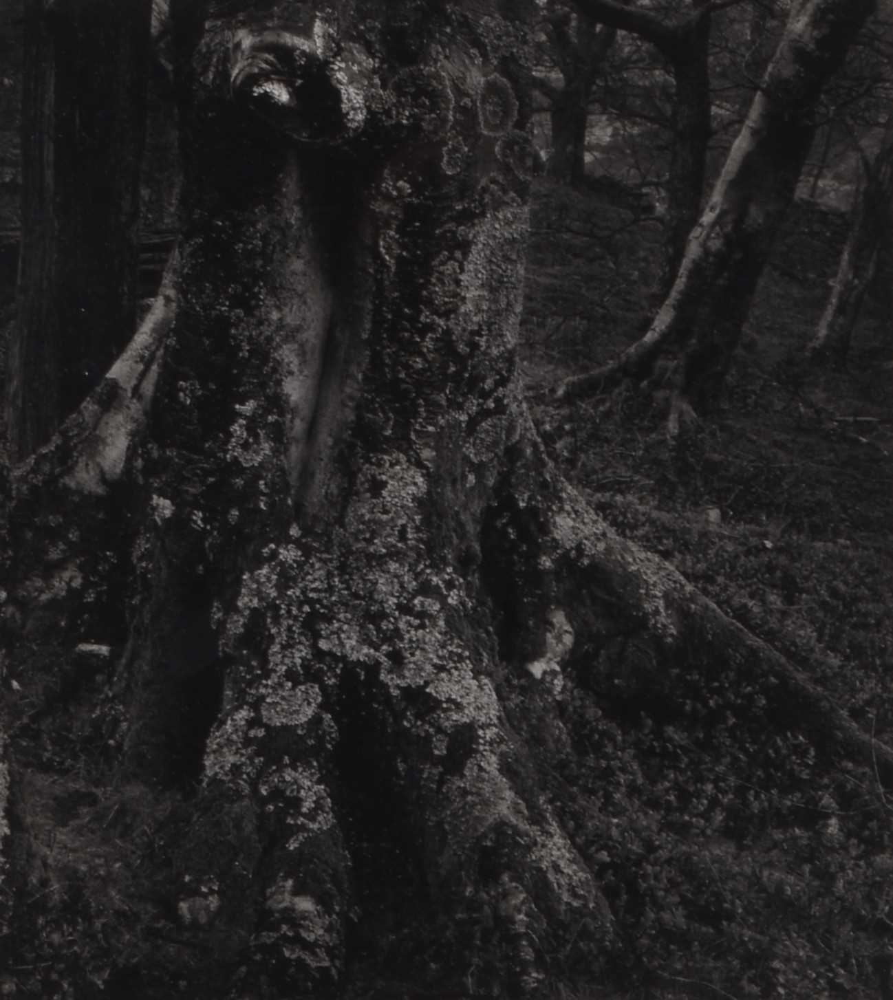 Lot 18 - John Blakemore (b.1936) Cwm Bychan