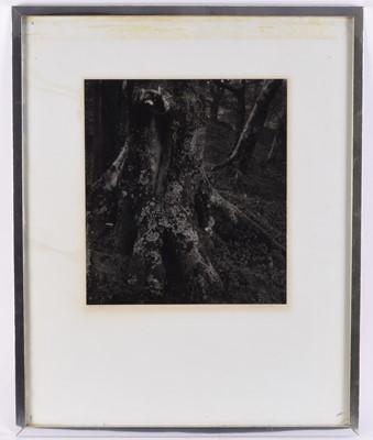 Lot 18 - John Blakemore (b.1936) Cwm Bychan