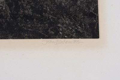 Lot 18 - John Blakemore (b.1936) Cwm Bychan